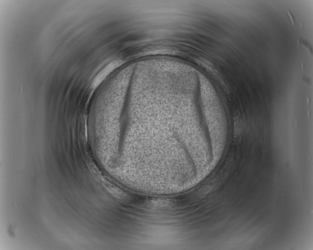 X0000102781274200809081019