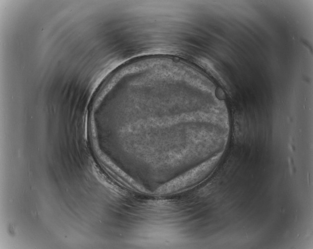 X0000102781276200809081019