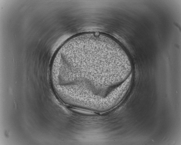 X0000102781277200809081019