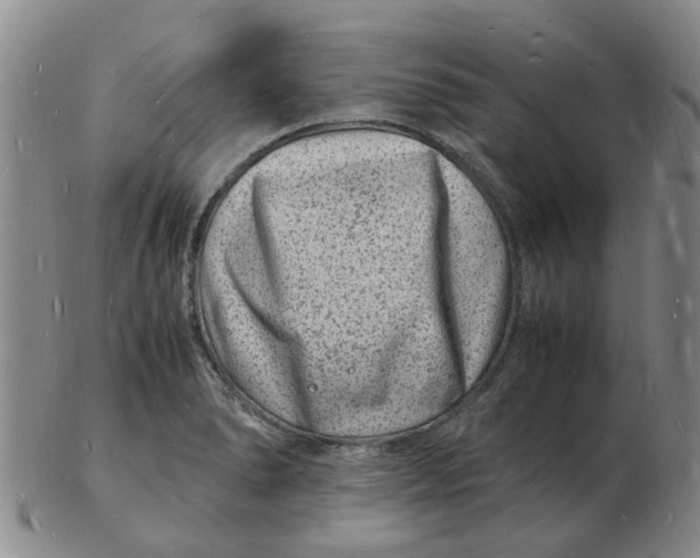 X0000102781278200809081019