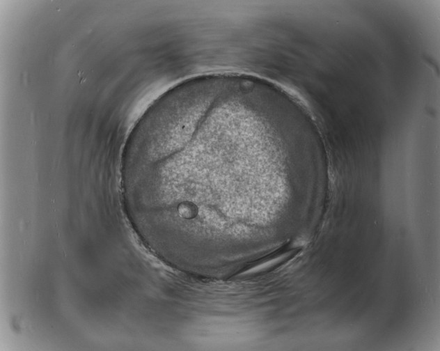 X0000102781279200809081019