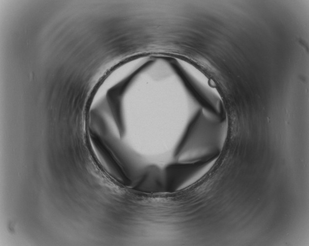 X0000102781280200809081019