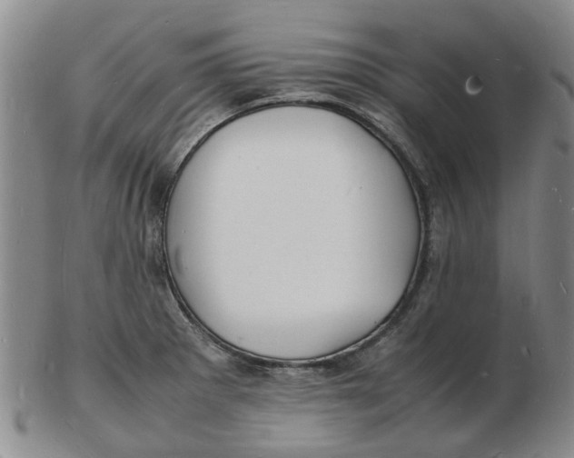 X0000102781281200809081019