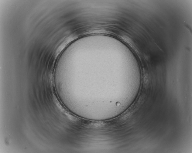 X0000102781282200809081019