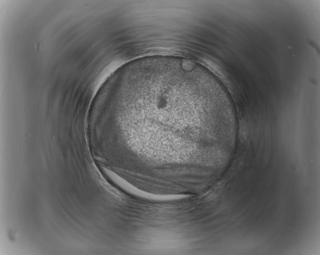 X0000102781283200809081019