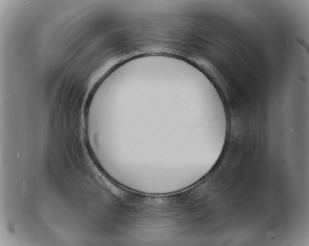 X0000102781286200809081019