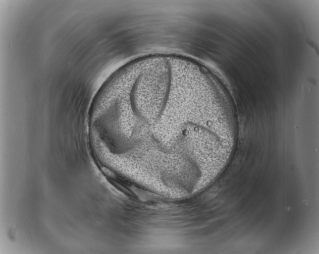 X0000102781287200809081019