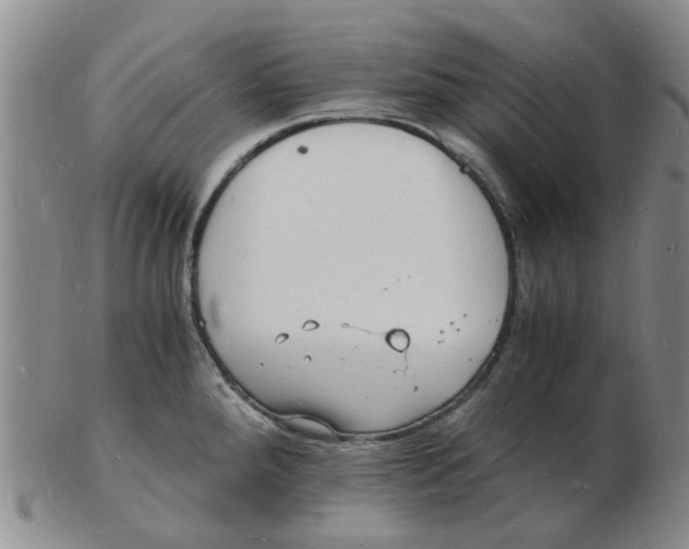 X0000102781288200809081019