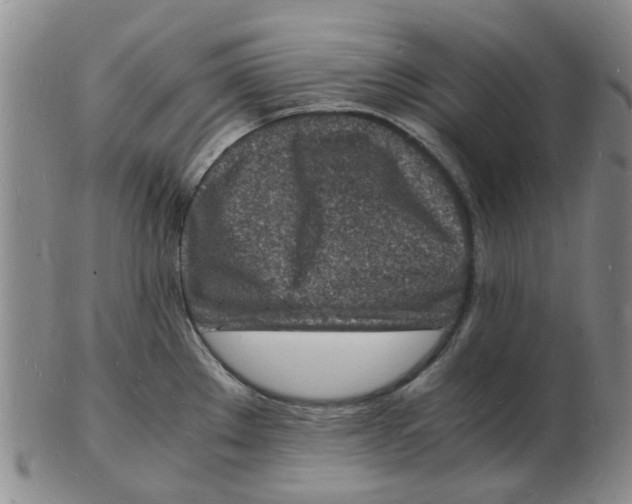 X0000102781289200809081019