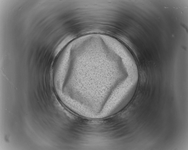 X0000102781290200809081019