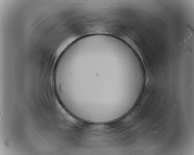 X0000102781293200809081019