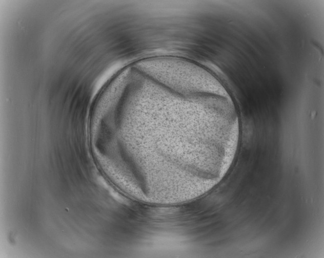 X0000102781294200809081019