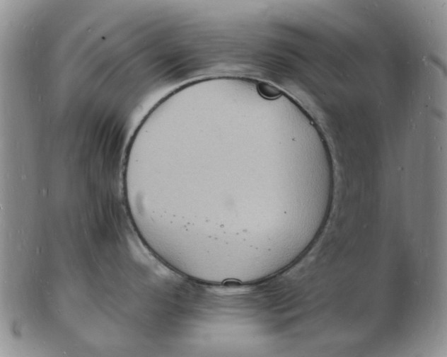 X0000102781296200809081019