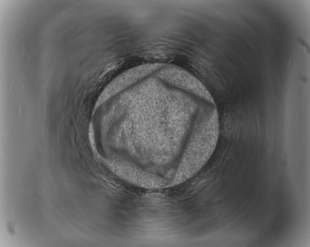 X0000102781297200809081018