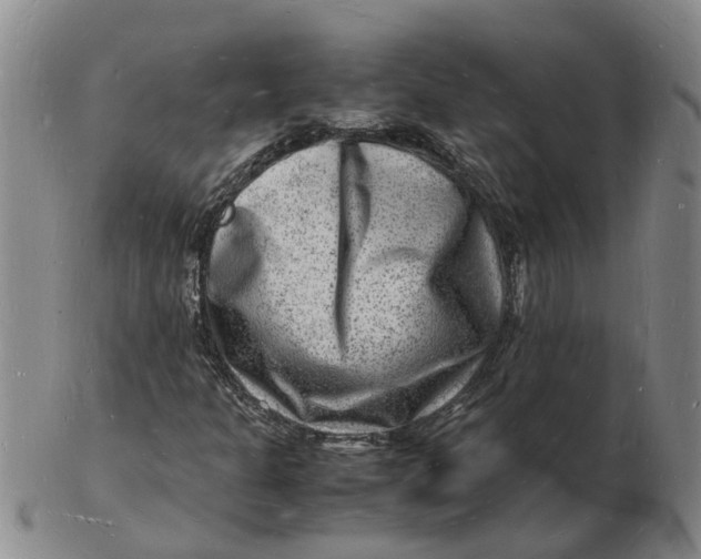 X0000102781301200809081018