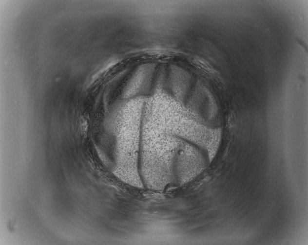 X0000102781302200809081018