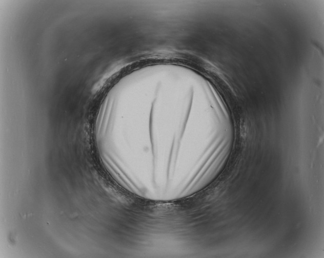 X0000102781304200809081018