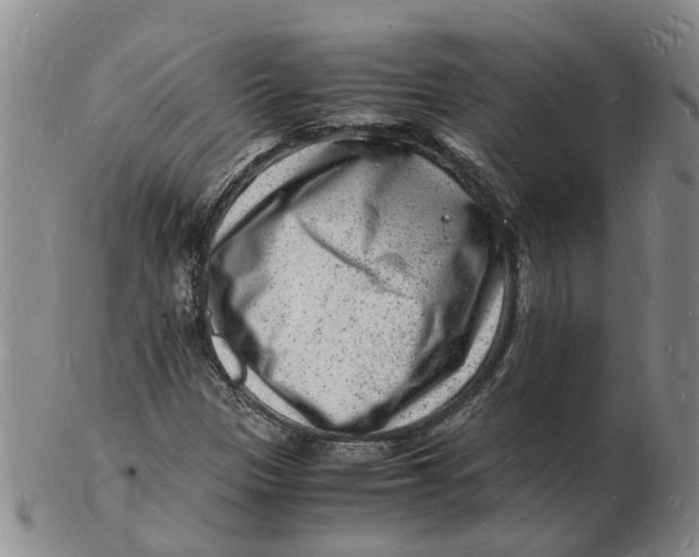 X0000102781305200809081018