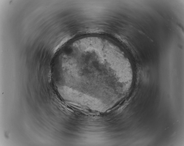 X0000102781306200809081018