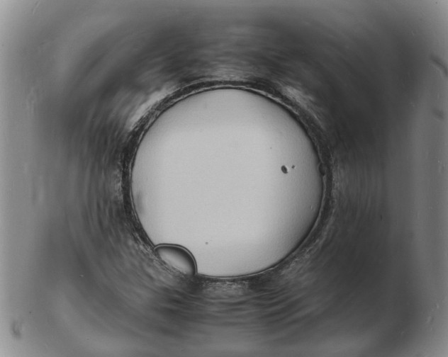 X0000102781307200809081018