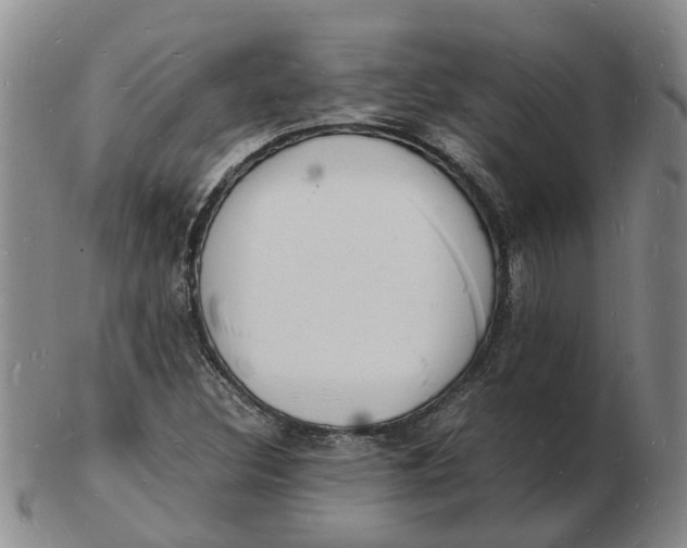 X0000102781308200809081018