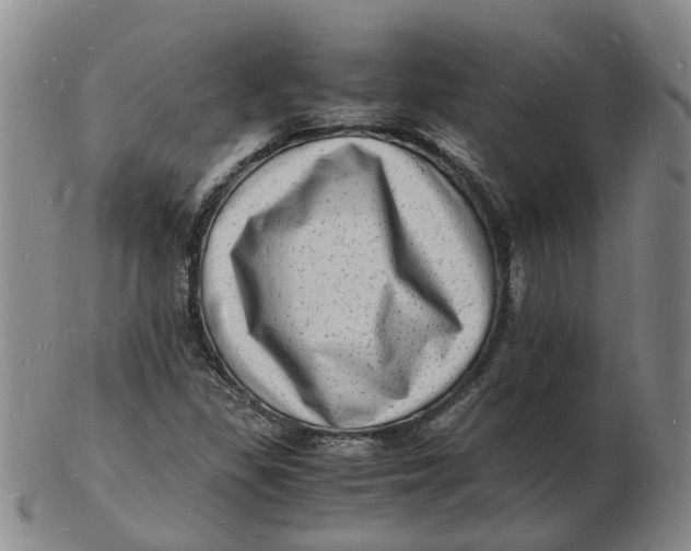 X0000102781309200809081018