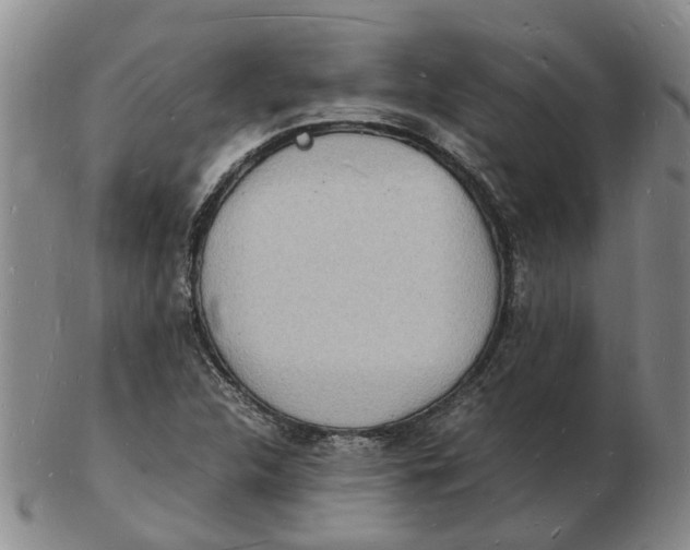 X0000102781312200809081018