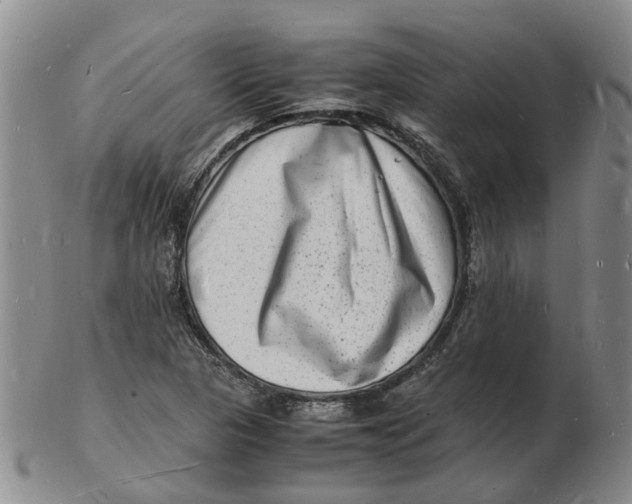 X0000102781313200809081018