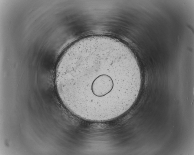 X0000102781314200809081018