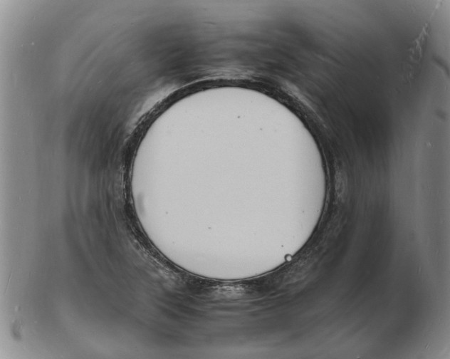 X0000102781315200809081018