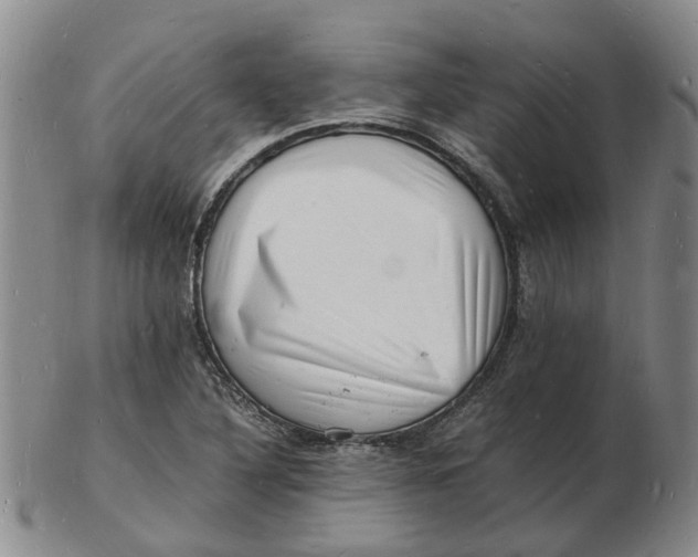 X0000102781316200809081018