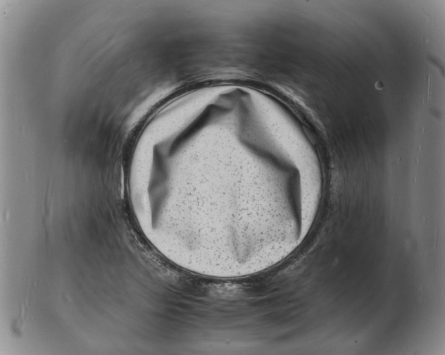 X0000102781317200809081019