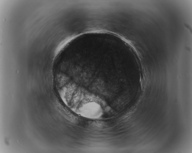 X0000102781319200809081019