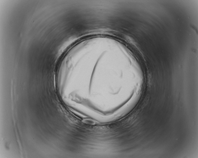 X0000102781320200809081019