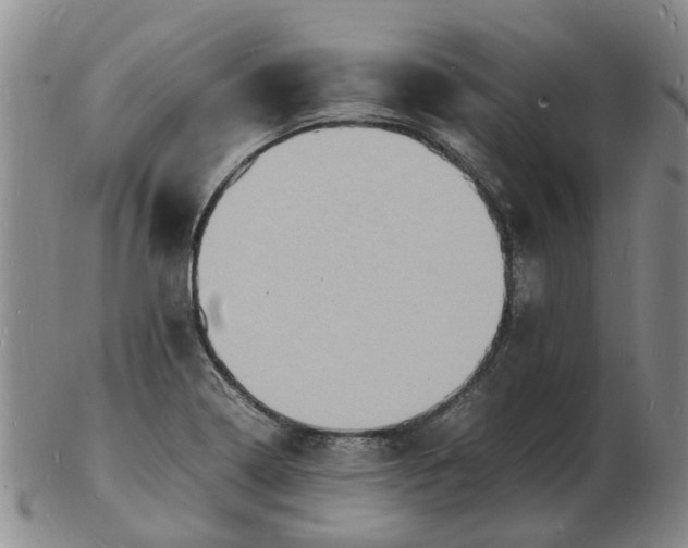 X0000102781322200809081019