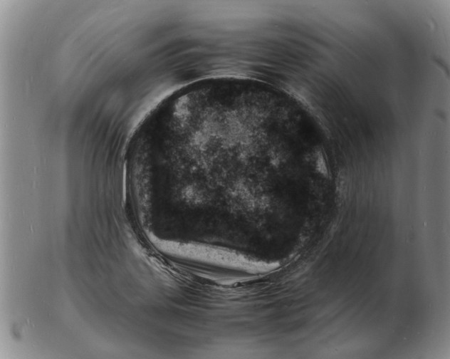 X0000102781323200809081019