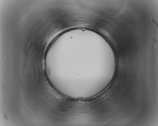 X0000102781324200809081019