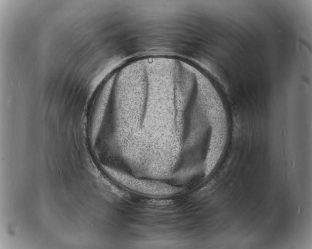 X0000102781325200809081019