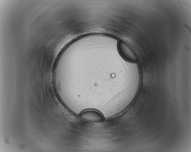 X0000102781326200809081019