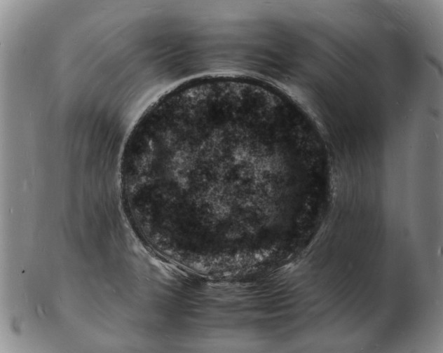 X0000102781327200809081019