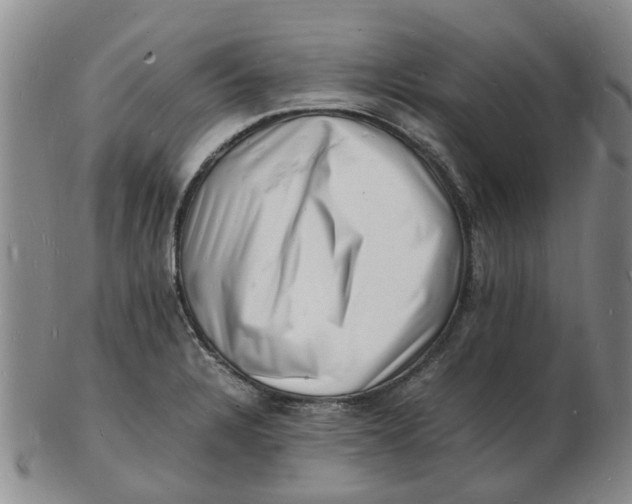 X0000102781328200809081019