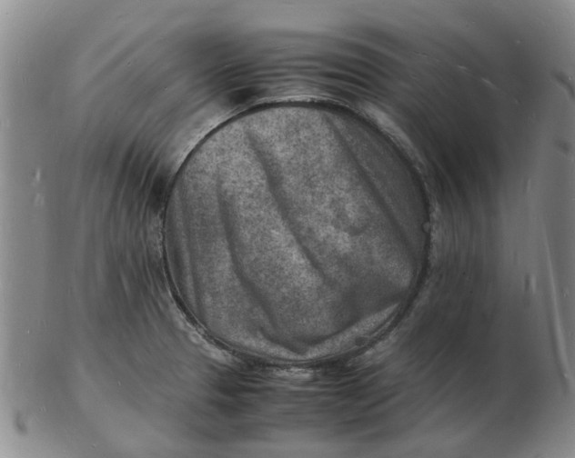 X0000102781329200809081019