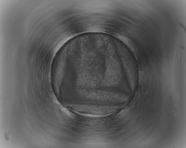 X0000102781331200809081019