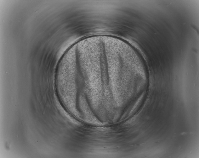 X0000102781333200809081019