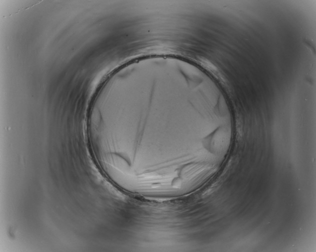 X0000102781334200809081019