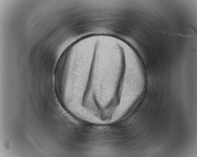 X0000102781335200809081019