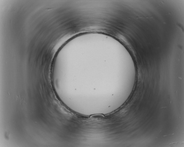 X0000102781336200809081019