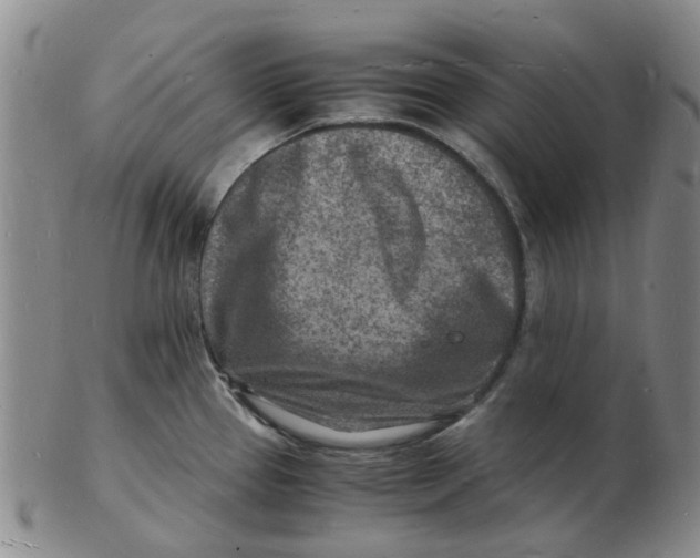 X0000102781337200809081019