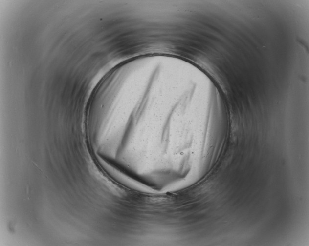 X0000102781339200809081019