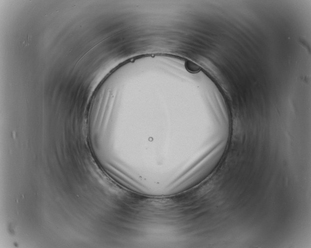 X0000102781340200809081019